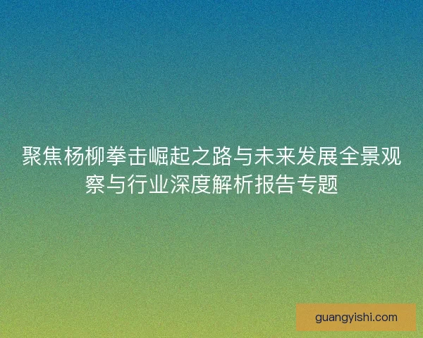 聚焦杨柳拳击崛起之路与未来发展全景观察与行业深度解析报告专题